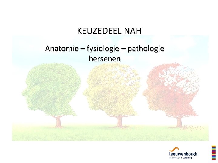 KEUZEDEEL NAH Anatomie – fysiologie – pathologie hersenen 