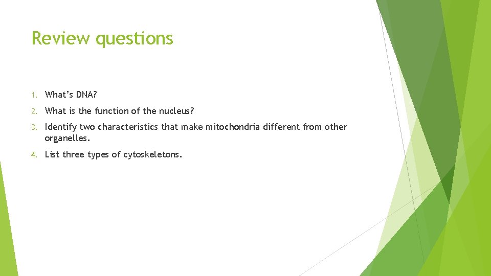 Review questions 1. What’s DNA? 2. What is the function of the nucleus? 3.