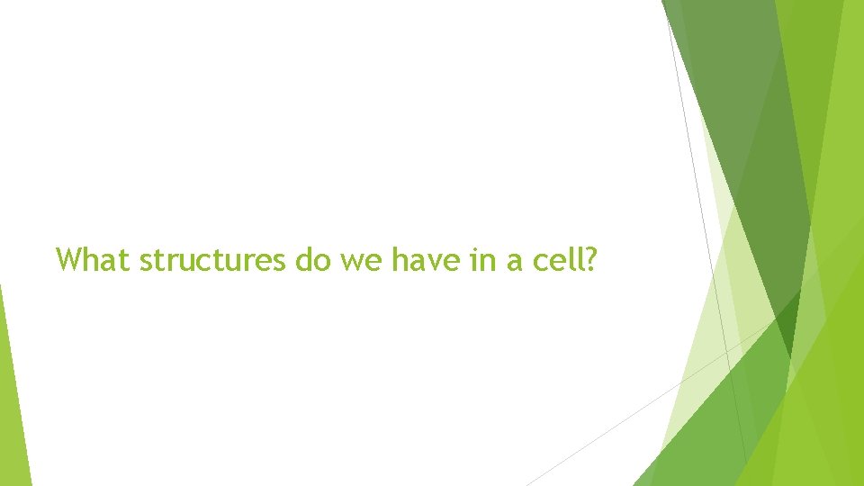 What structures do we have in a cell? 