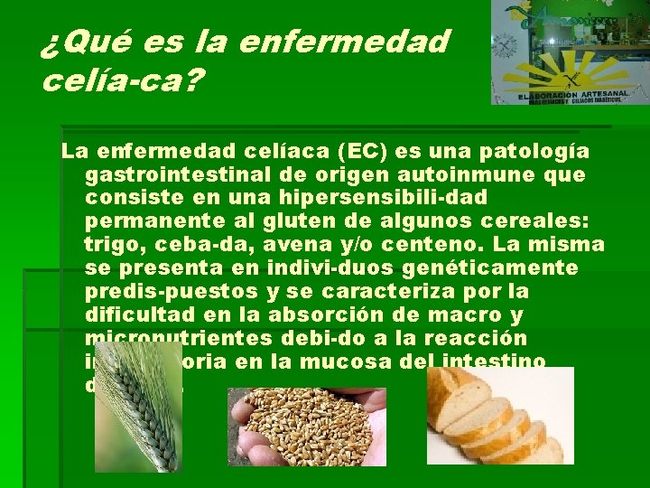 ¿Qué es la enfermedad celía-ca? La enfermedad celíaca (EC) es una patología gastrointestinal de ¿Qué es la enfermedad celía-ca? La enfermedad celíaca (EC) es una patología gastrointestinal de
