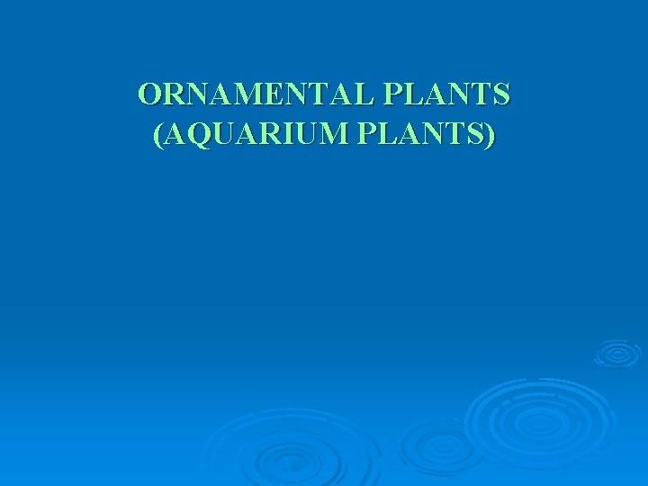 ORNAMENTAL PLANTS (AQUARIUM PLANTS) 