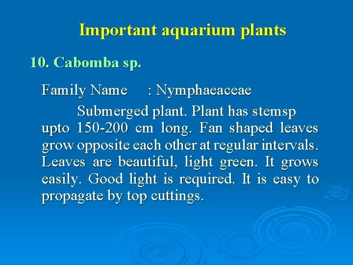 Important aquarium plants 10. Cabomba sp. Family Name : Nymphaeaceae Submerged plant. Plant has