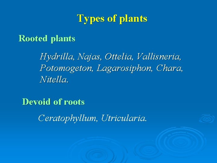 Types of plants Rooted plants Hydrilla, Najas, Ottelia, Vallisneria, Potomogeton, Lagarosiphon, Chara, Nitella. Devoid