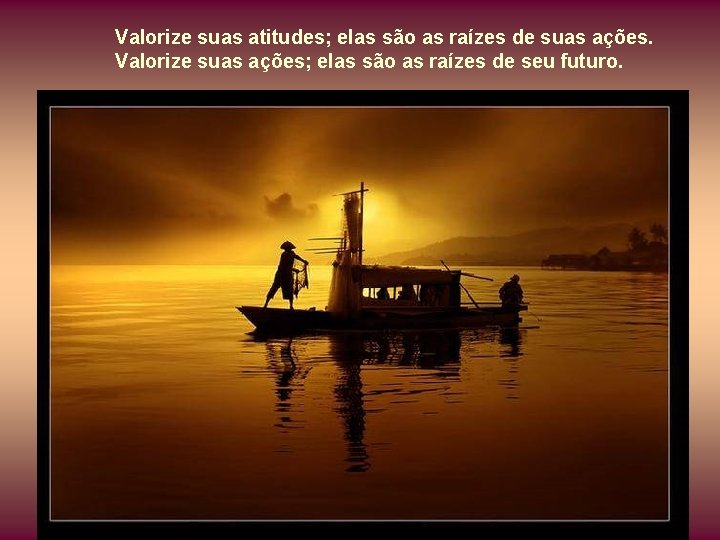 Valorize suas atitudes; elas são as raízes de suas ações. Valorize suas ações; elas