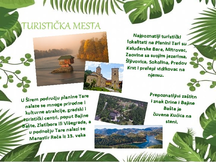 TURISTIČKA MESTA planine Tare ju č ru d o p m e ir Š