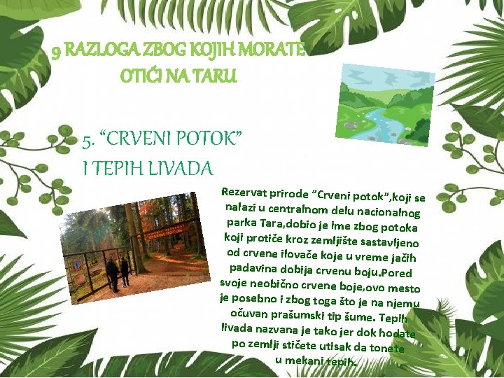 9 RAZLOGA ZBOG KOJIH MORATE OTIĆI NA TARU 5. “CRVENI POTOK” I TEPIH LIVADA