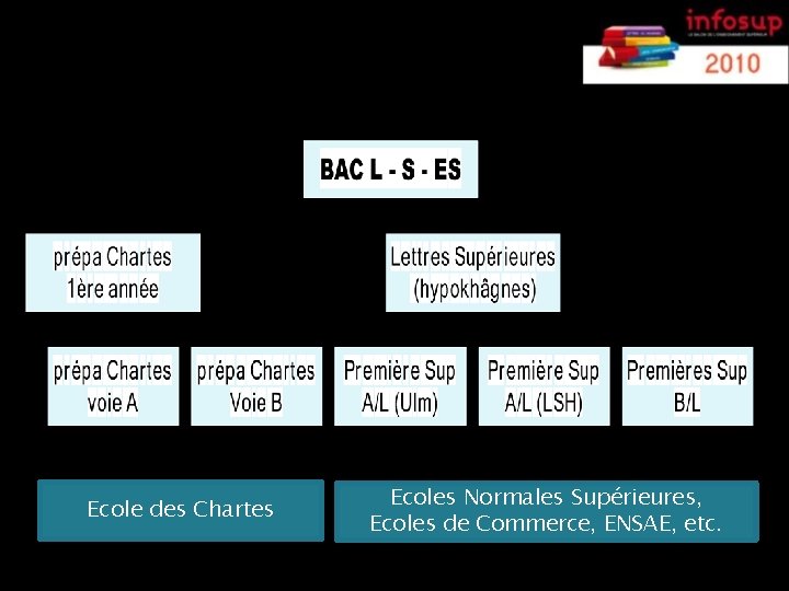 La FILIERE LITTERAIRE Ecole des Chartes Ecoles Normales Supérieures, Ecoles de Commerce, ENSAE, etc.