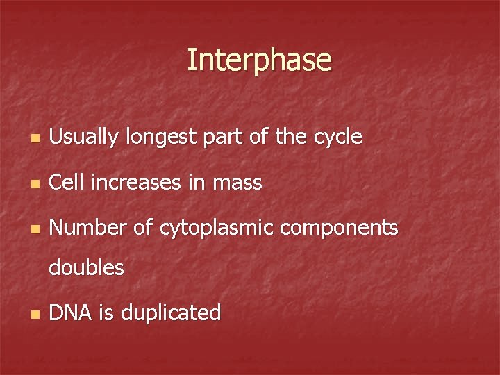 Interphase n Usually longest part of the cycle n Cell increases in mass n