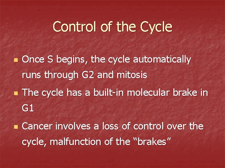 Control of the Cycle n Once S begins, the cycle automatically runs through G