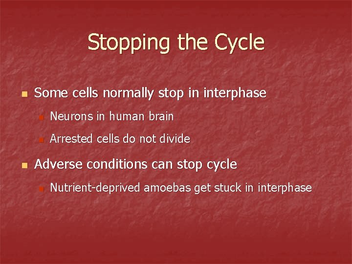 Stopping the Cycle n n Some cells normally stop in interphase n Neurons in