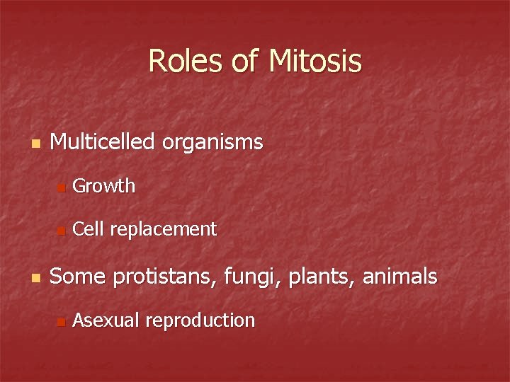 Roles of Mitosis n n Multicelled organisms n Growth n Cell replacement Some protistans,