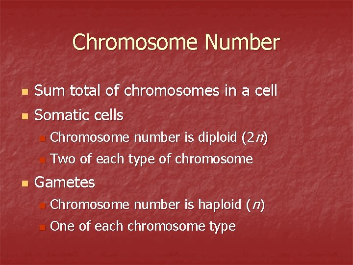 Chromosome Number n Sum total of chromosomes in a cell n Somatic cells n