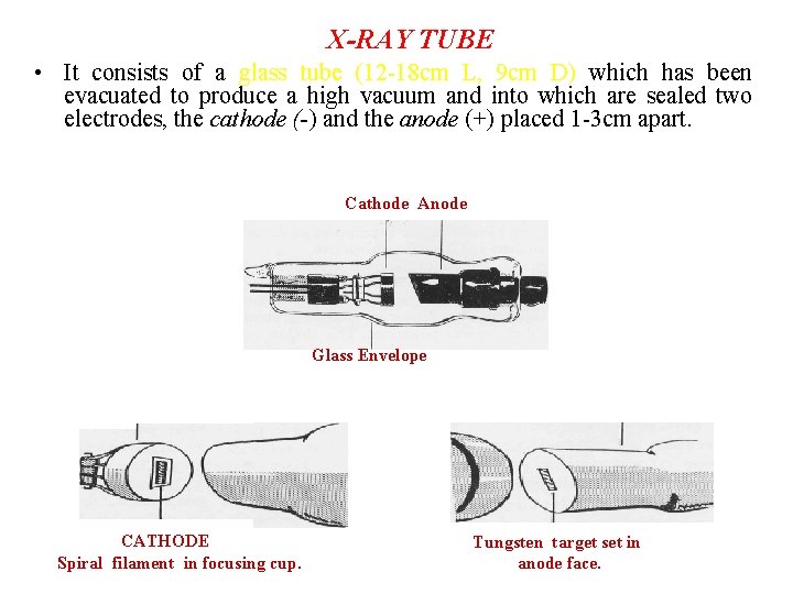 X-RAY TUBE • It consists of a glass tube (12 -18 cm L, 9