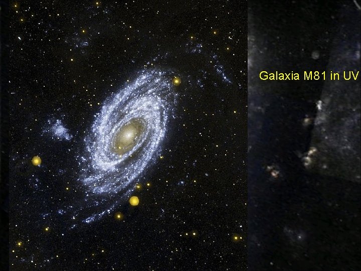 Galaxia M 81 in UV Galaxia M 81 in UV