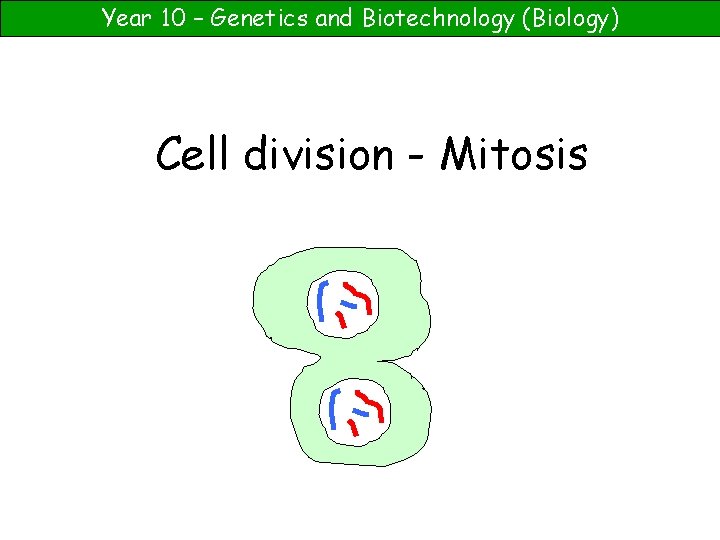 Year 10 – Genetics and Biotechnology (Biology) Cell division - Mitosis 