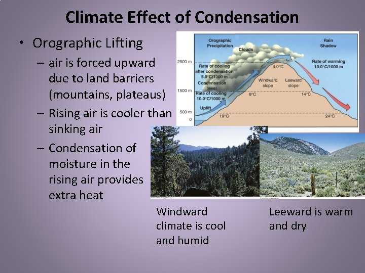 Climate Effect of Condensation • Orographic Lifting – air is forced upward due to