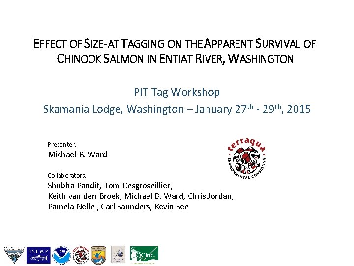 EFFECT OF SIZE-AT TAGGING ON THE APPARENT SURVIVAL OF CHINOOK SALMON IN ENTIAT RIVER,