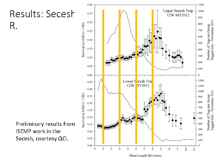 Results: Secesh R. Preliminary results from ISEMP work in the Secesh, courtesy QCI. 