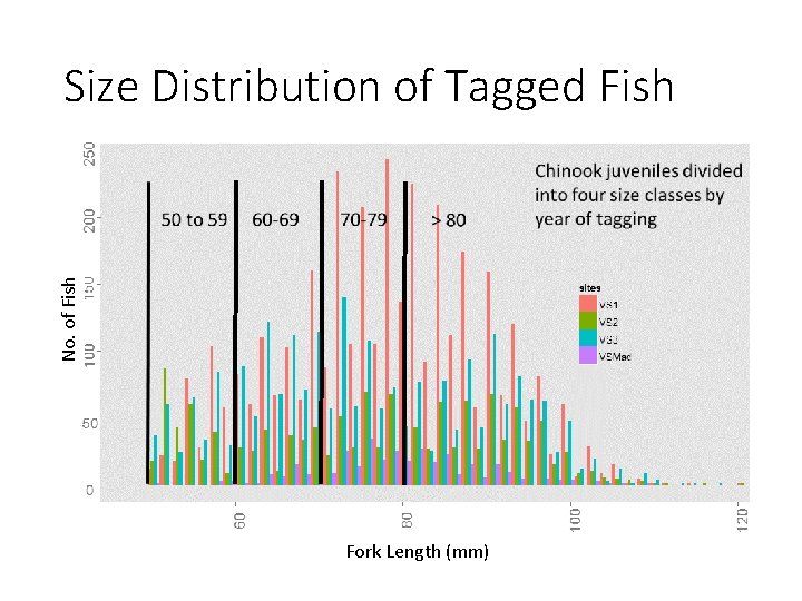 No. of Fish Size Distribution of Tagged Fish Fork Length (mm) 
