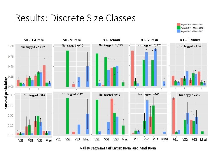 Results: Discrete Size Classes 50 - 120 mm 60 - 69 mm 70 -