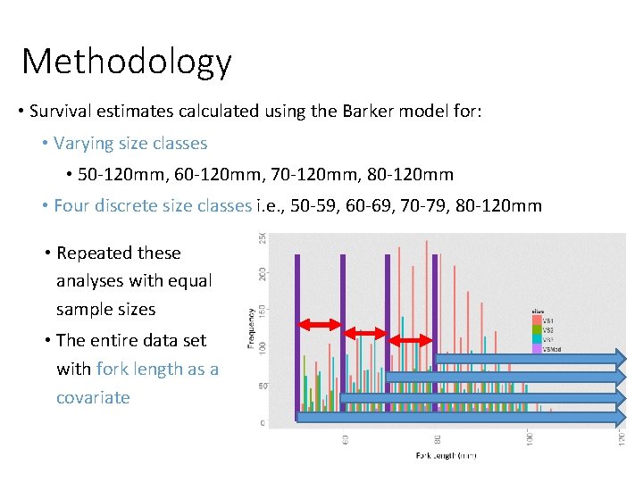 Methodology • Survival estimates calculated using the Barker model for: • Varying size classes