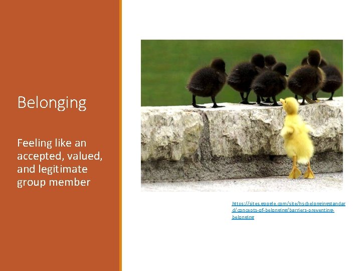 Belonging Feeling like an accepted, valued, and legitimate group member https: //sites. google. com/site/hscbelongingstandar