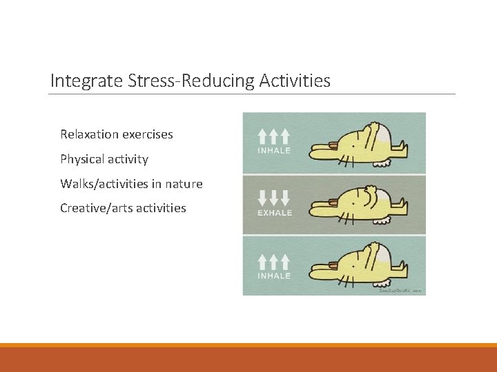 Integrate Stress-Reducing Activities Relaxation exercises Physical activity Walks/activities in nature Creative/arts activities 