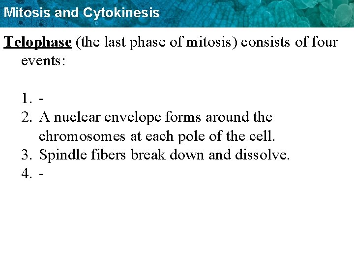 Mitosis and Cytokinesis Telophase (the last phase of mitosis) consists of four events: 1.