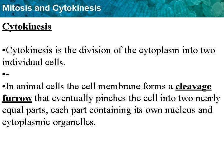 Mitosis and Cytokinesis • Cytokinesis is the division of the cytoplasm into two individual