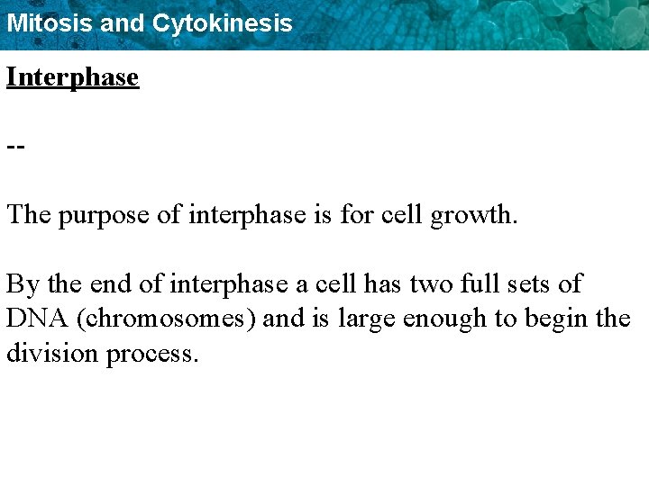 Mitosis and Cytokinesis Interphase -The purpose of interphase is for cell growth. By the