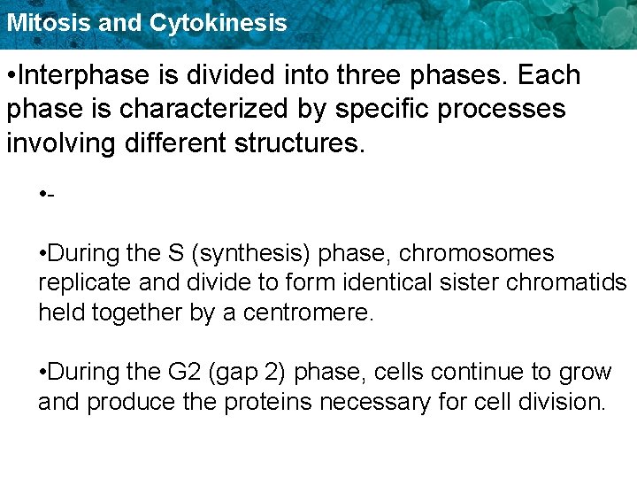 Mitosis and Cytokinesis • Interphase is divided into three phases. Each phase is characterized