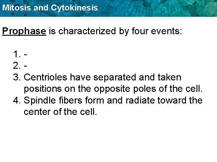 Mitosis and Cytokinesis Prophase is characterized by four events: 1. 2. 3. Centrioles have