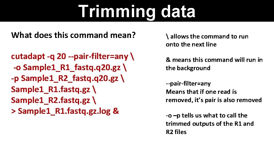 Trimming data What does this command mean? cutadapt -q 20 --pair-filter=any  -o Sample
