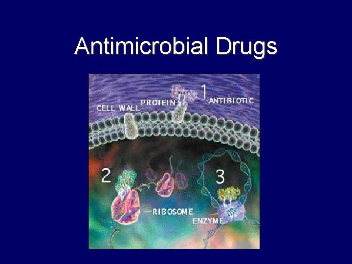 Antimicrobial Drugs 