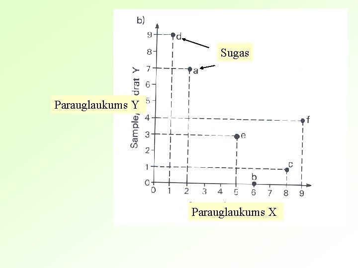 Sugas Parauglaukums Y Parauglaukums X 