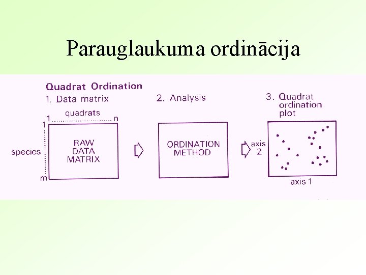 Parauglaukuma ordinācija 