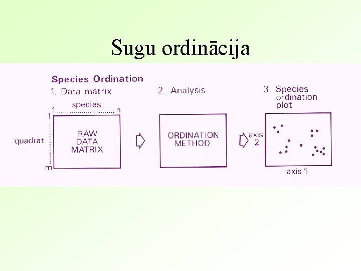 Sugu ordinācija 