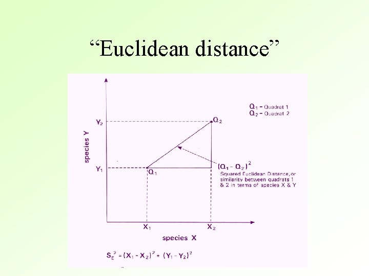 “Euclidean distance” 