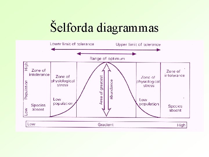 Šelforda diagrammas 