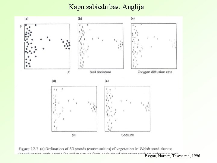 Kāpu sabiedrības, Anglijā Begon, Harper, Townsend, 1996 