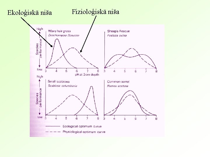 Ekoloģiskā niša Fizioloģiskā niša 