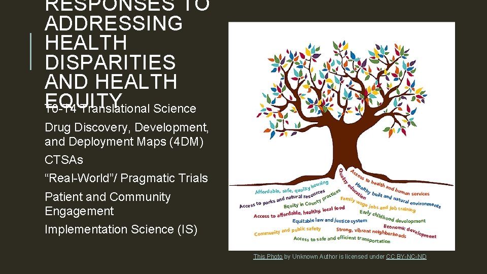RESPONSES TO ADDRESSING HEALTH DISPARITIES AND HEALTH EQUITY T 0 -T 4 Translational Science