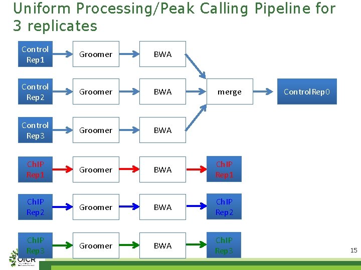 Uniform Processing/Peak Calling Pipeline for 3 replicates Control Rep 1 Groomer BWA Control Rep