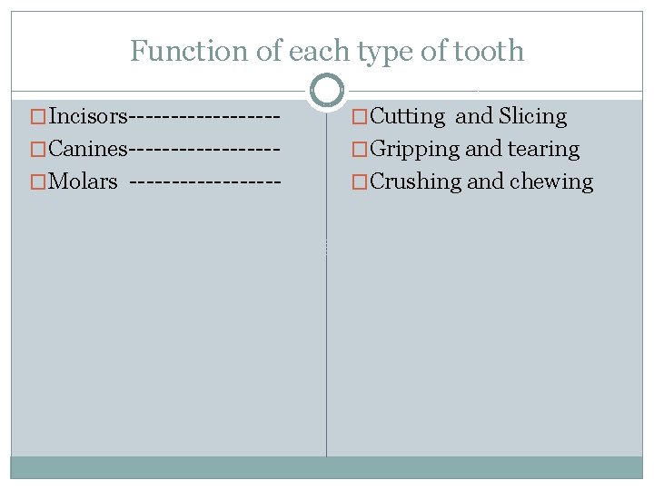 Function of each type of tooth �Incisors--------- �Cutting and Slicing �Canines--------- �Gripping and tearing