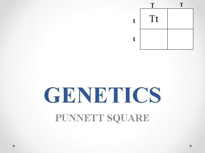 T t Tt t GENETICS PUNNETT SQUARE T T t Tt t GENETICS PUNNETT SQUARE T