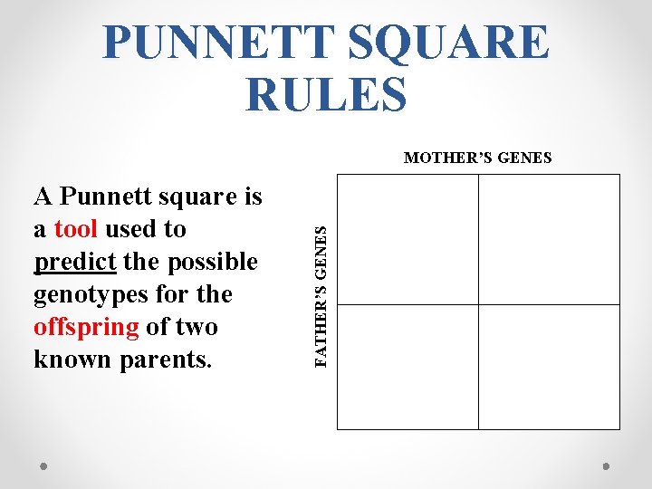 PUNNETT SQUARE RULES A Punnett square is a tool used to predict the possible PUNNETT SQUARE RULES A Punnett square is a tool used to predict the possible