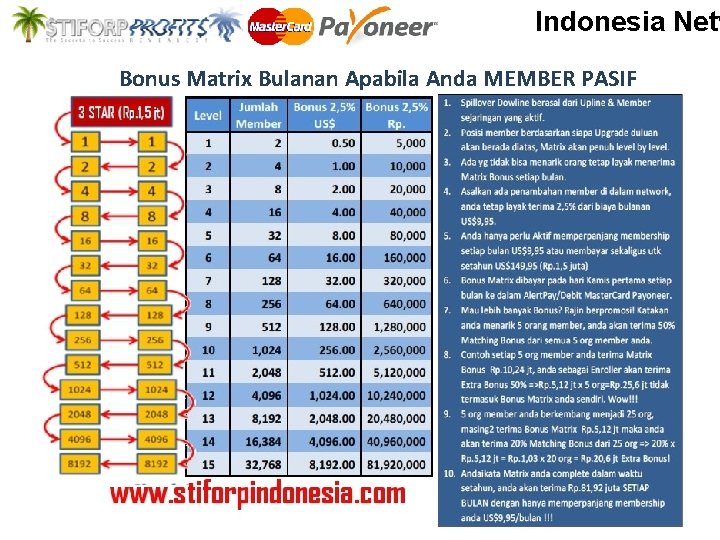 Indonesia Netw Bonus Matrix Bulanan Apabila Anda MEMBER PASIF 