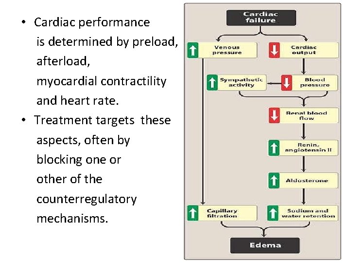  • Cardiac performance is determined by preload, afterload, myocardial contractility and heart rate.