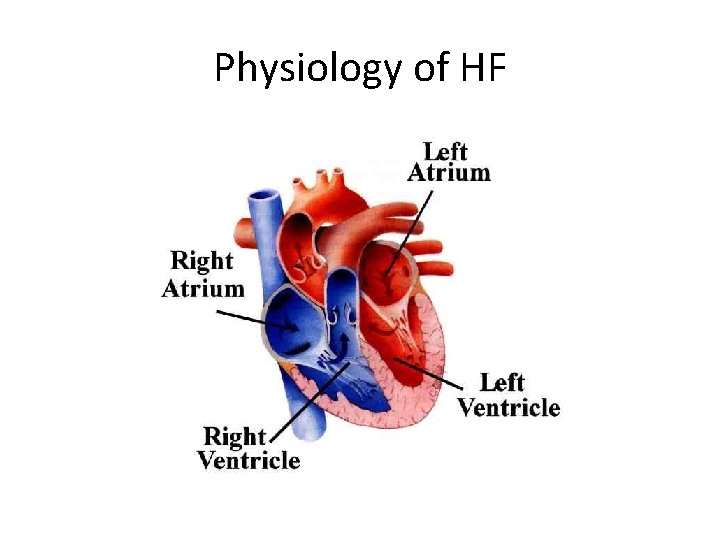 Physiology of HF 