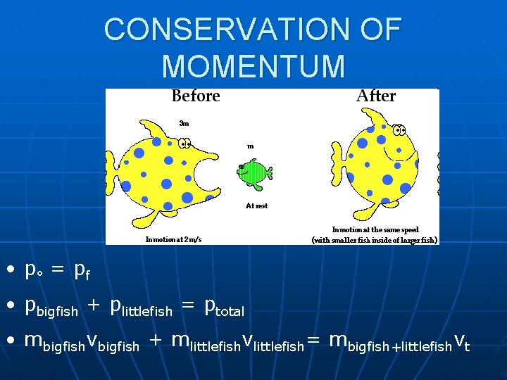 CONSERVATION OF MOMENTUM • p° = p f • pbigfish + plittlefish = ptotal